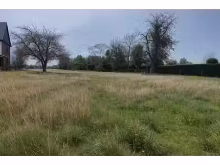 opportunité de rêve ! terrain à bâtir disponible dès maintenant !