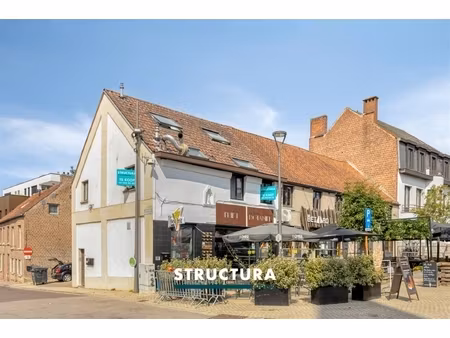 commercieel te koop in meise met 1 slaapkamer