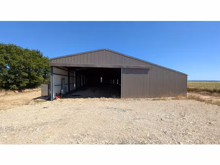 location local d'activités 3000m2 quins 12800 - 1000 € - surface privée