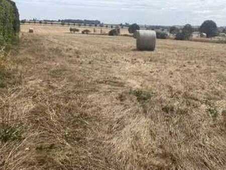 vente terrain à chaix (85200) : à vendre / chaix