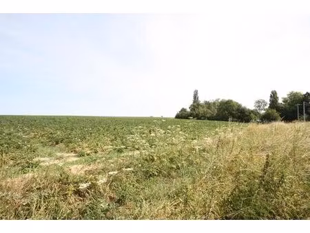 terrain à vendre à rue des sorcières lonzée (vbe52451)