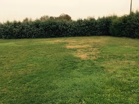 vente terrain 650 m² tauriac (33710)