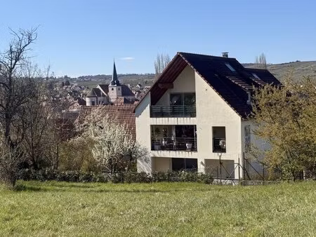appartement/maison récent 3/4 p. terrasses jardin 300m2 nature&calme