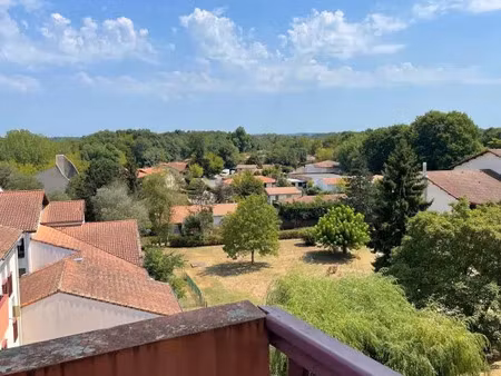 location appartement 1 pièce 36 m² à dax (40100)