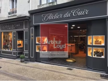 vente commerce sens 89100 350m²