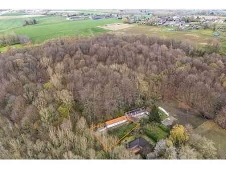 projet de rénovation dans un environnement verdoyant & boisé