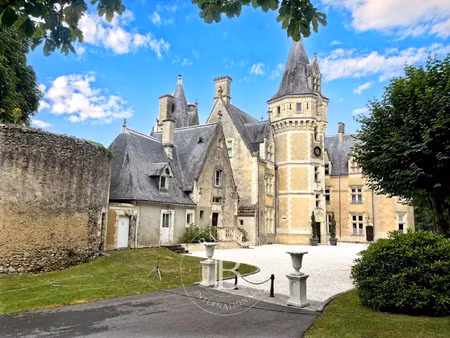 château à vendre à château-du-loir