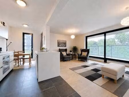 appartement 2 chambres avec terrasse - quartier européen