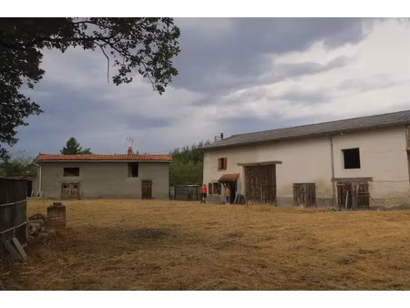 vente maison 3 pièces 60 m² orléat (63190)
