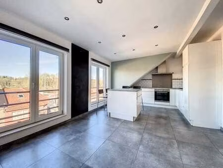 superbe appartement 2 chambres avec terrasse et parking