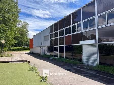 vente entrepôt vaulx en velin 69120 7058m²