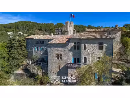 château à vendre