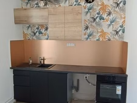 appartement de 50 m2 remis à neuf centre ville et calme