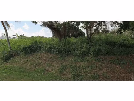 terrain constructible à vendre