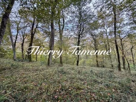 terrain à vendre