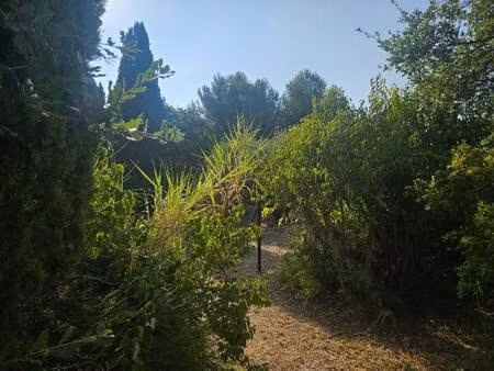 terrain constructible viabilisé à vendre