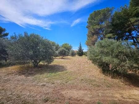 terrain constructible viabilisé à vendre