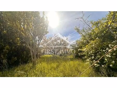 terrain constructible à vendre