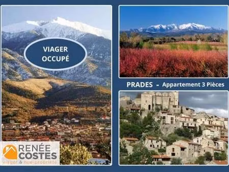 viager occupé - f71 ans - perpignan (66000)