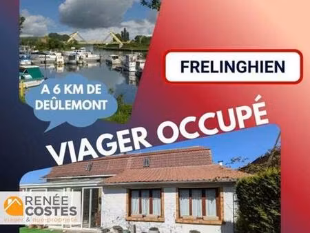 viager occupé - f85 ans - frelinghien (59236)