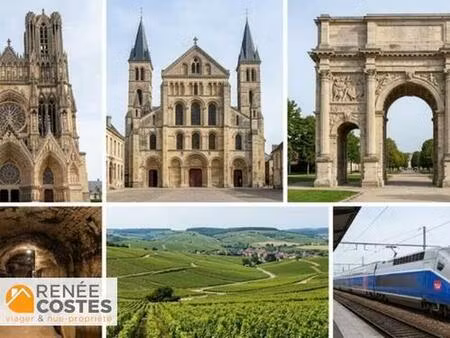 vente à terme libre sur 180 mois - reims (51100)