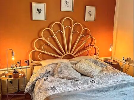 apparement meublé avec terrasse 45 m3