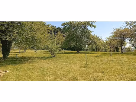 vente terrain à batir 1310 m² à bucy-le-long (02880)  75 000 €