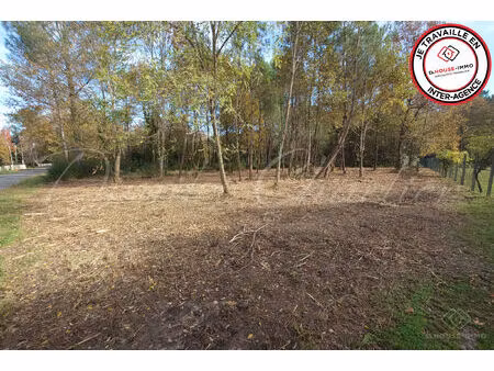 terrain à bâtir et forêt – saint-sauveur (médoc)