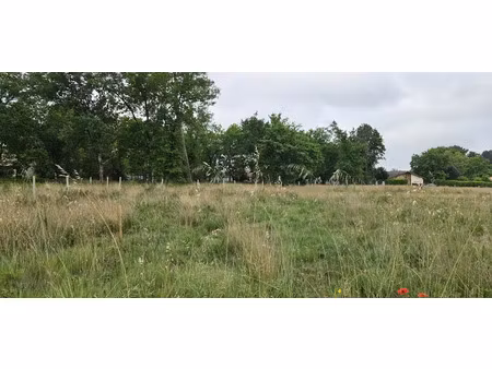 vente terrain 520 m² à parentis-en-born (40160)  115 000 €