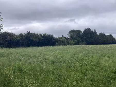 vente terrain 650 m² à l'isle-sur-la-sorgue (84800)  250 000 €