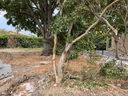 vente terrain 334 m² à marsillargues (34590)  174 000 €
