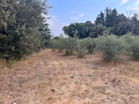 vente terrain 1680 m² à villevieille (30250)  249 900 €