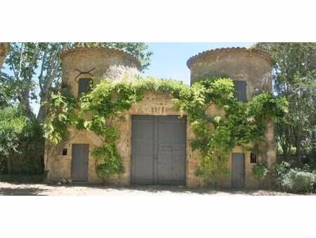 château saint-chaptes (30)