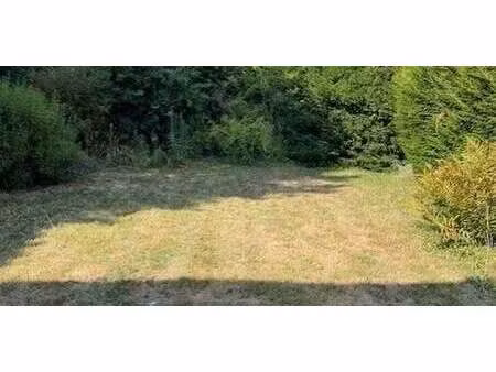 maison avec jardin le chesnay-rocquencourt (78)