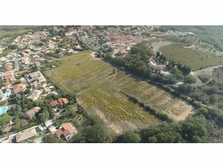 vente terrain 252 m² à banyuls-dels-aspres (66300)  81 000 €