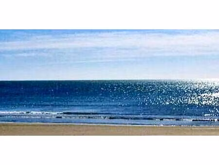 propriété carnon plage (34)