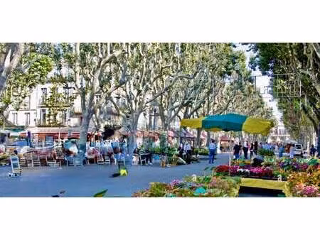 propriété beziers (34)