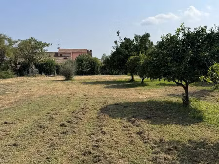 vente terrain 606 m² à prunelli-di-fiumorbo (20243)  94 900 €