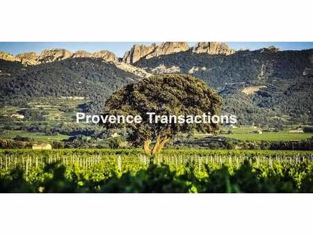 vignoble séguret (84)