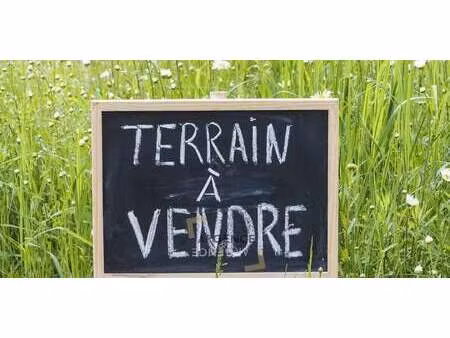 terrain saussines (34)