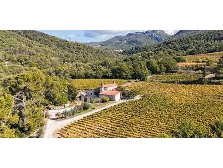 vignoble avec piscine gigondas (84)