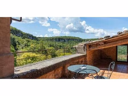 maison avec piscine saignon (84)