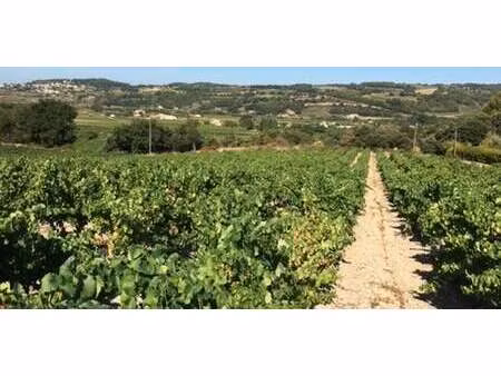 vignoble séguret (84)