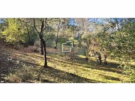 terrain montferrier-sur-lez (34)
