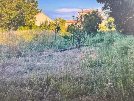 vente terrain 250 m² à frontignan (34110)  165 000 €