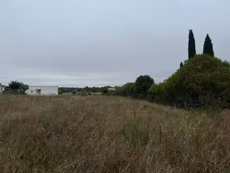 vente terrain 800 m² à lauret (34270)  167 000 €