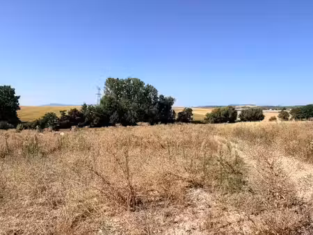 vente terrain 615 m² à schnersheim (67370)  261 103 €