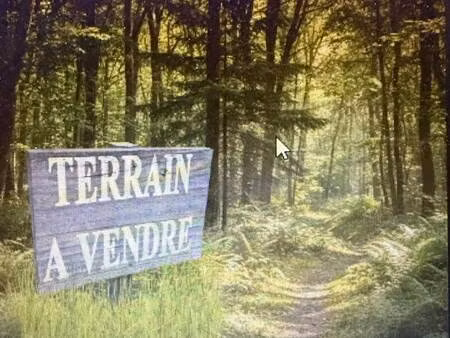 terrain à vendre