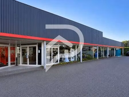 stephane plaza immobilier colmar-sud