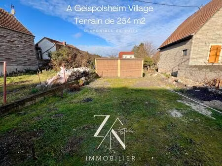 zn immobilier